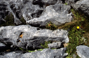 Visit to the burren3