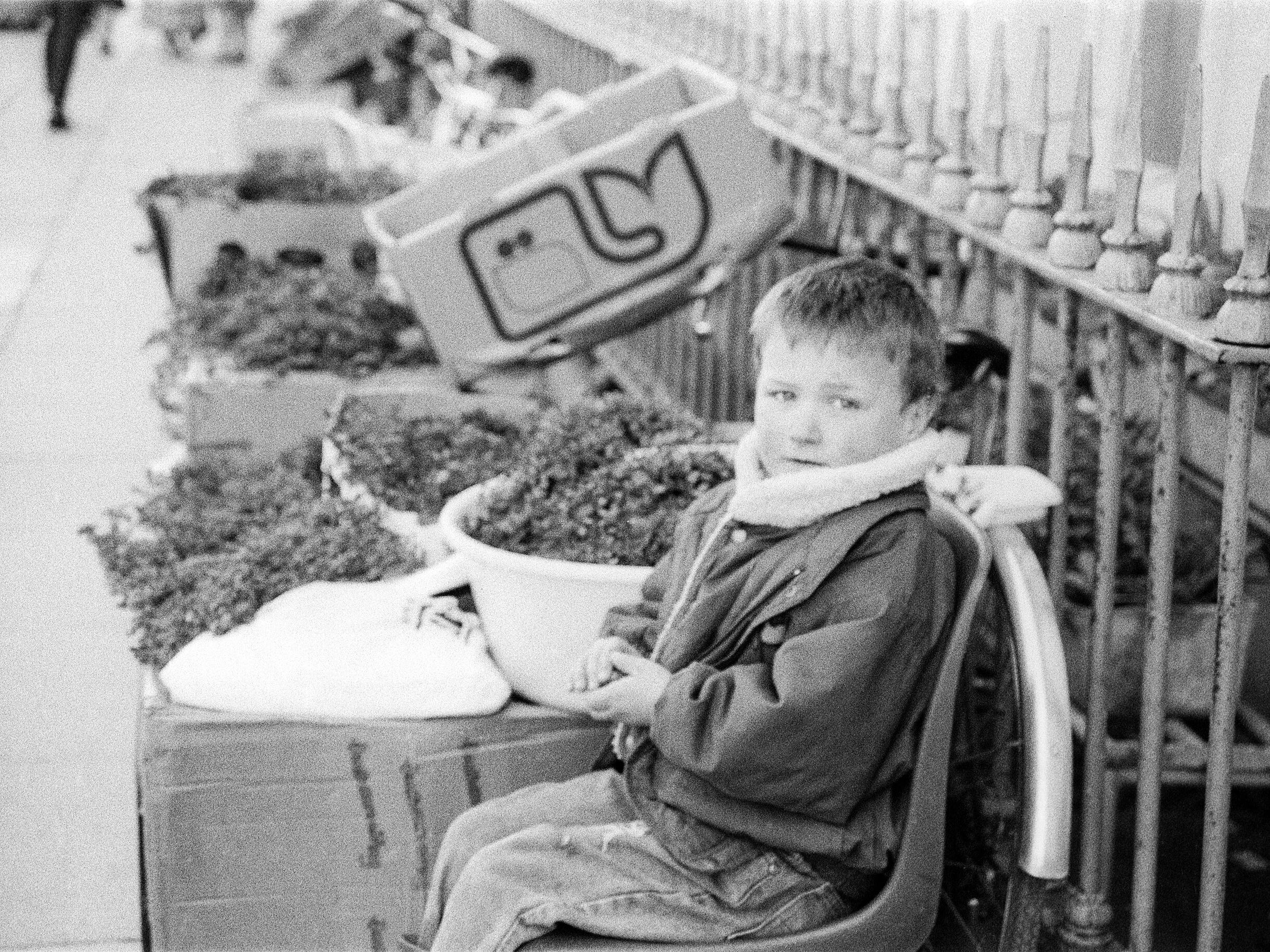 Limerick O Connell Street shamrock boy