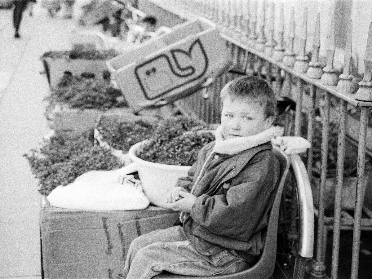 Limerick O Connell Street shamrock boy