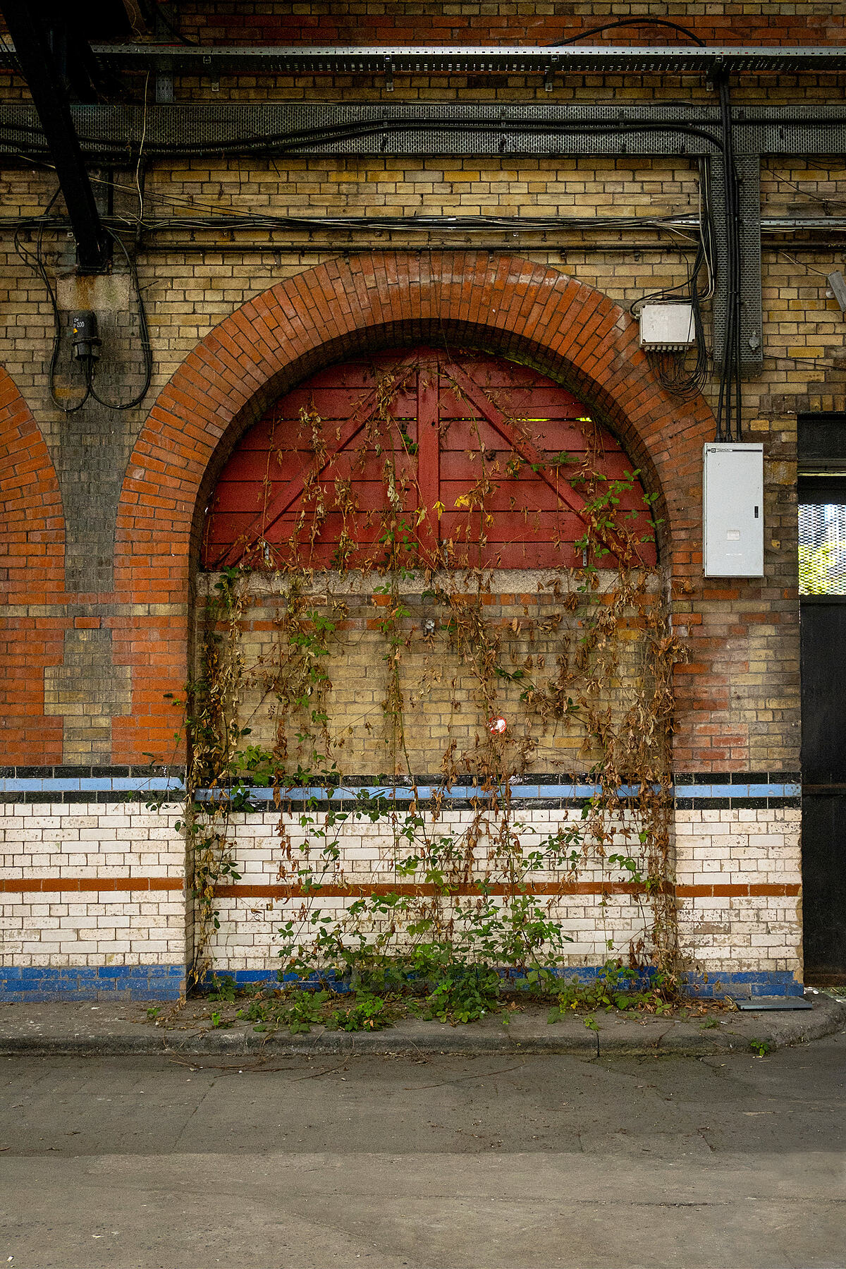 Rambling | Colour photograph - 2019