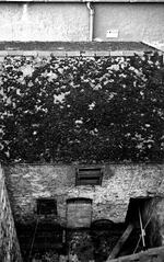 Always looking down below | B&W photograph - 1990