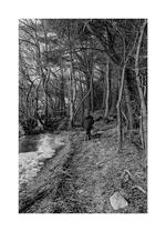 I've found my path | B&W photograph