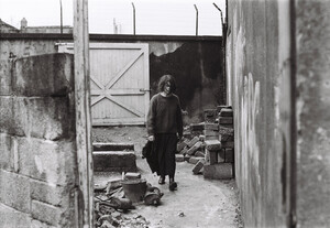 Limerick my kind of place