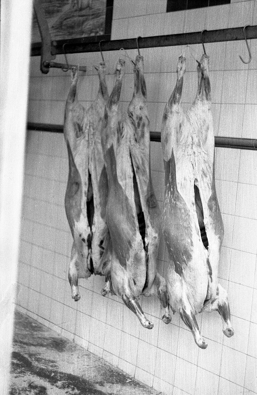 Limerick butchers | B&W photograph - 1990