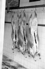 Limerick butchers | B&W photograph - 1990