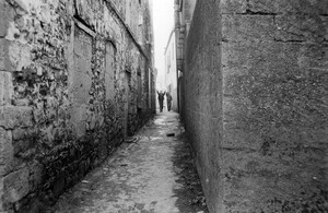 Limerick The laneway boys