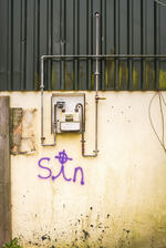 Sin | Colour photograph - 2018