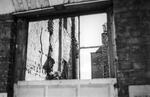 Through the window | B&W photograph