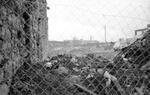 Through the wire | B&W photograph - 1990
