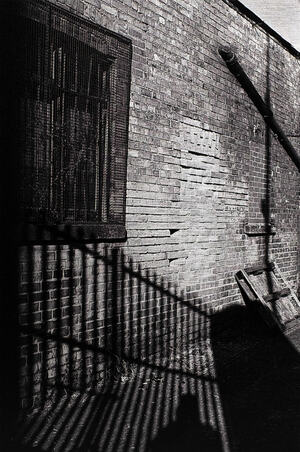 Shadows