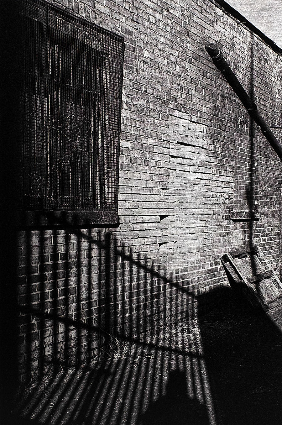 Shadows