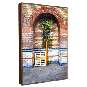 Palm tree - Framed colour photograph side view