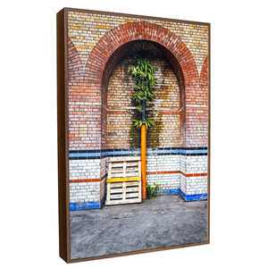 Palm tree - Framed colour photograph side view
