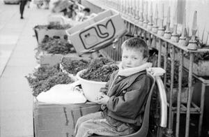 Boy selling shamrock