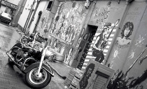 Limerick Buddies doorway